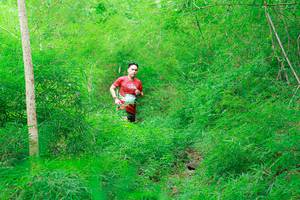 BIB: 
                            <button type="button" onclick="openModal(22091802)" class="btn btn-primary btn-sm float-right btn-popup" data-toggle="modal" data-target=".modal-high-quality">
                        <i class="fas fa-shopping-cart"></i> Add to Cart
                    </button>
                                            <button type="button" onclick="isThisMe(22091802, true)" class="btn btn-success btn-sm float-right btn-popup btn-isme hidden" data-toggle="tooltip" data-placement="bottom" title="นี่คือรูปของคุณใช่ไหม คลิกที่นี่เพื่อเอาเข้าอัลบั้ม">
                        <i class="fas fa-plus"></i> Add to album
                    </button>
                    <button type="button" onclick="isThisMe(22091802, false)" class="btn btn-warning btn-sm float-right btn-popup btn-isnotme hidden">
                        <i class="fas fa-ban"></i> Remove from album
                    </button>